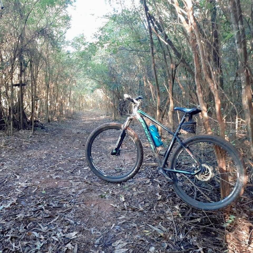 Eu amo ciclismo