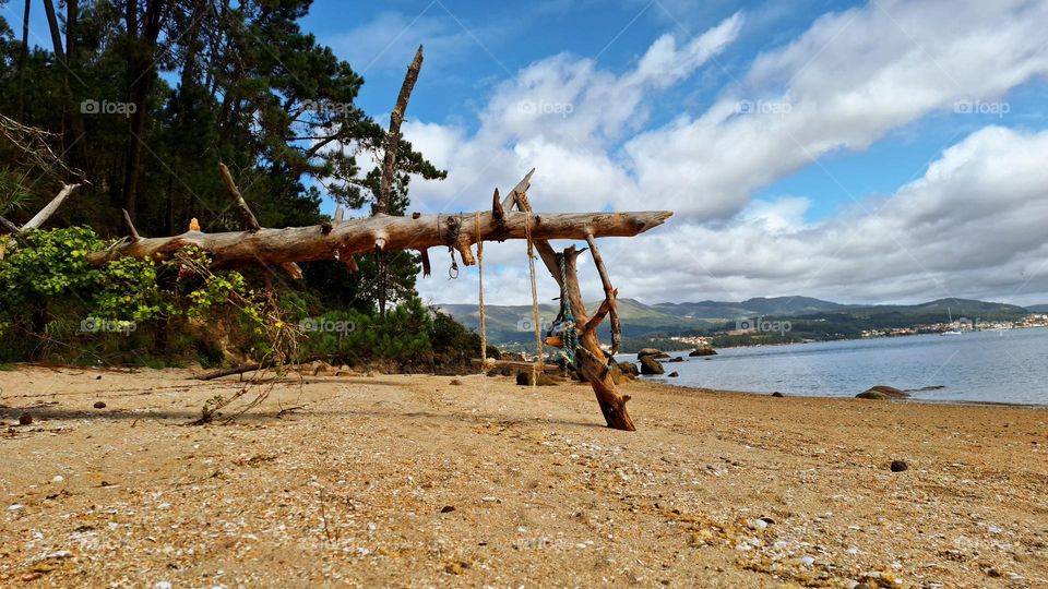 deserted beach with a fallen tree.  Atlantic coastal beaches are beautiful!
Palmeira, Spain.