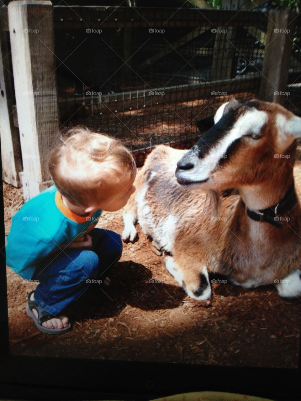 Boy with goat
