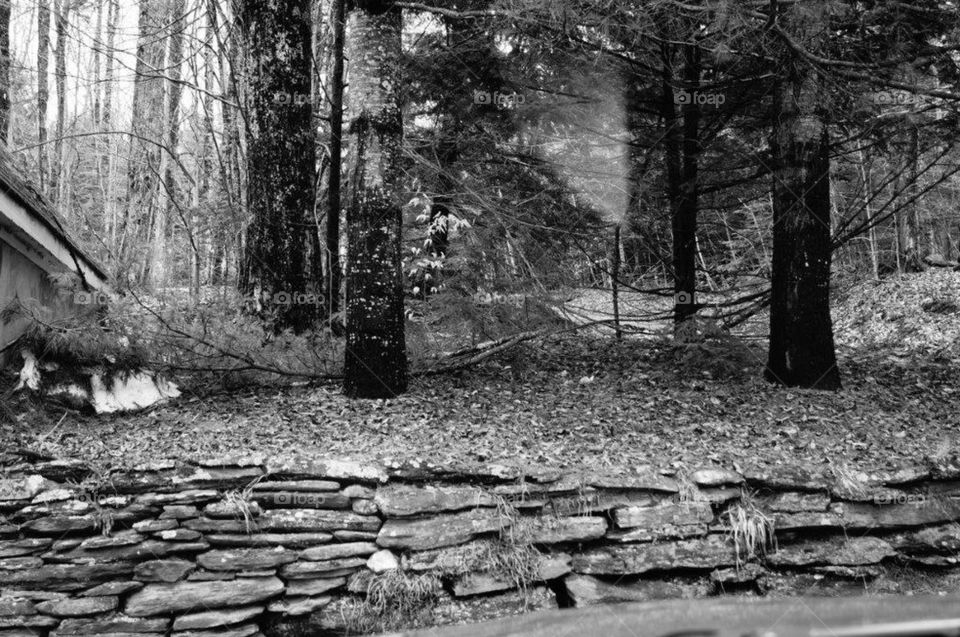 Vermont Stone Wall