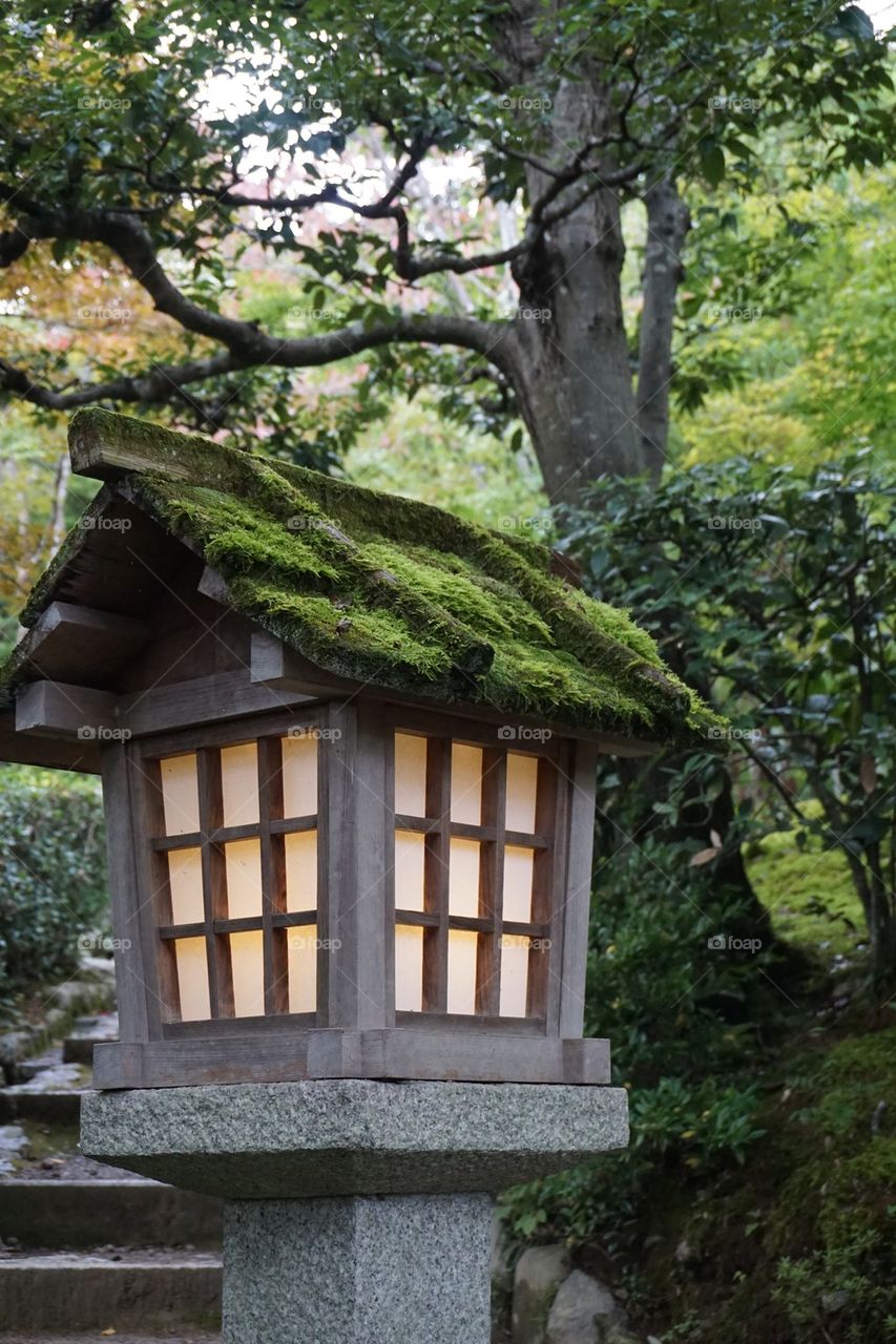 Japanese lantern