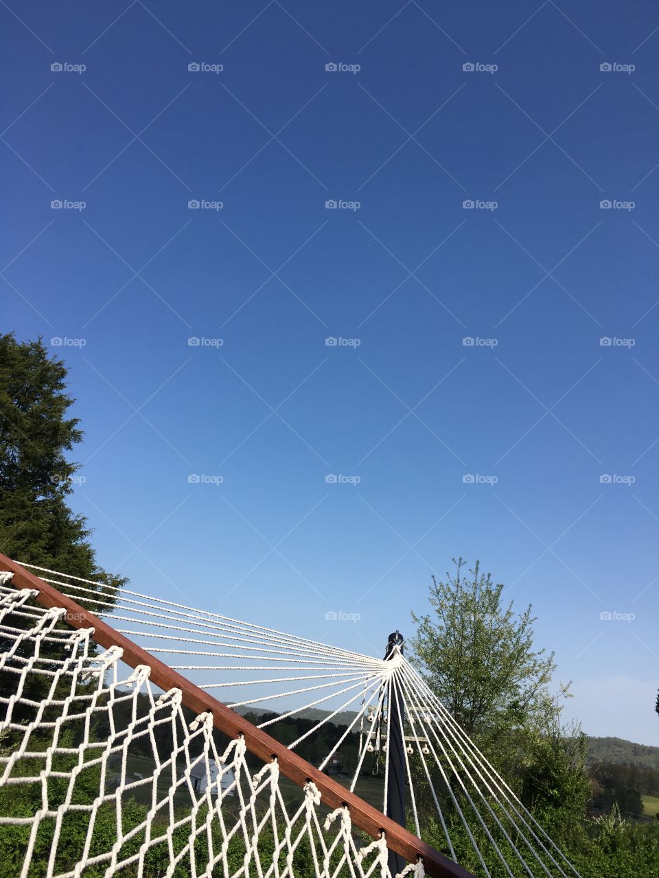 Beautiful day to lay in the hammock!