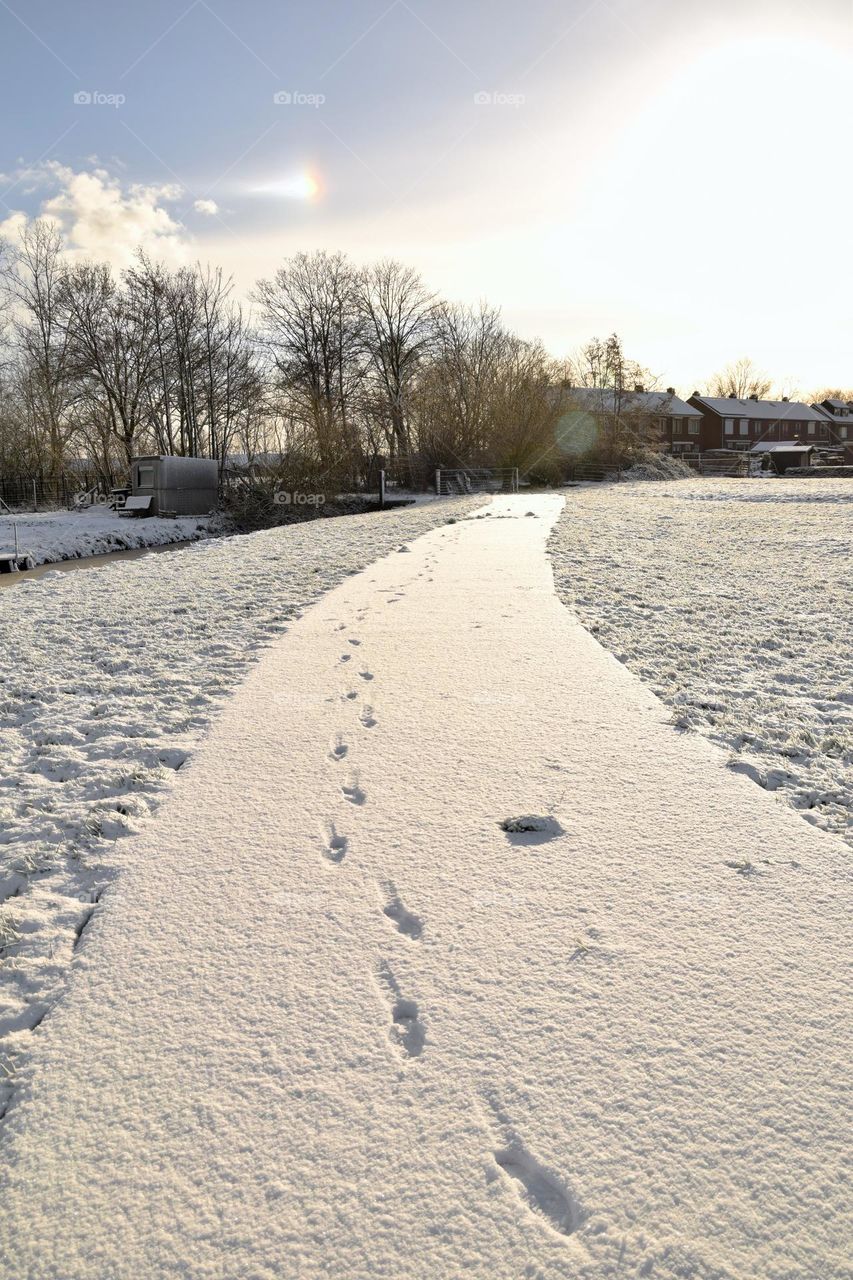 footsteps in fresh snow on a path in an empty field with houses at the background