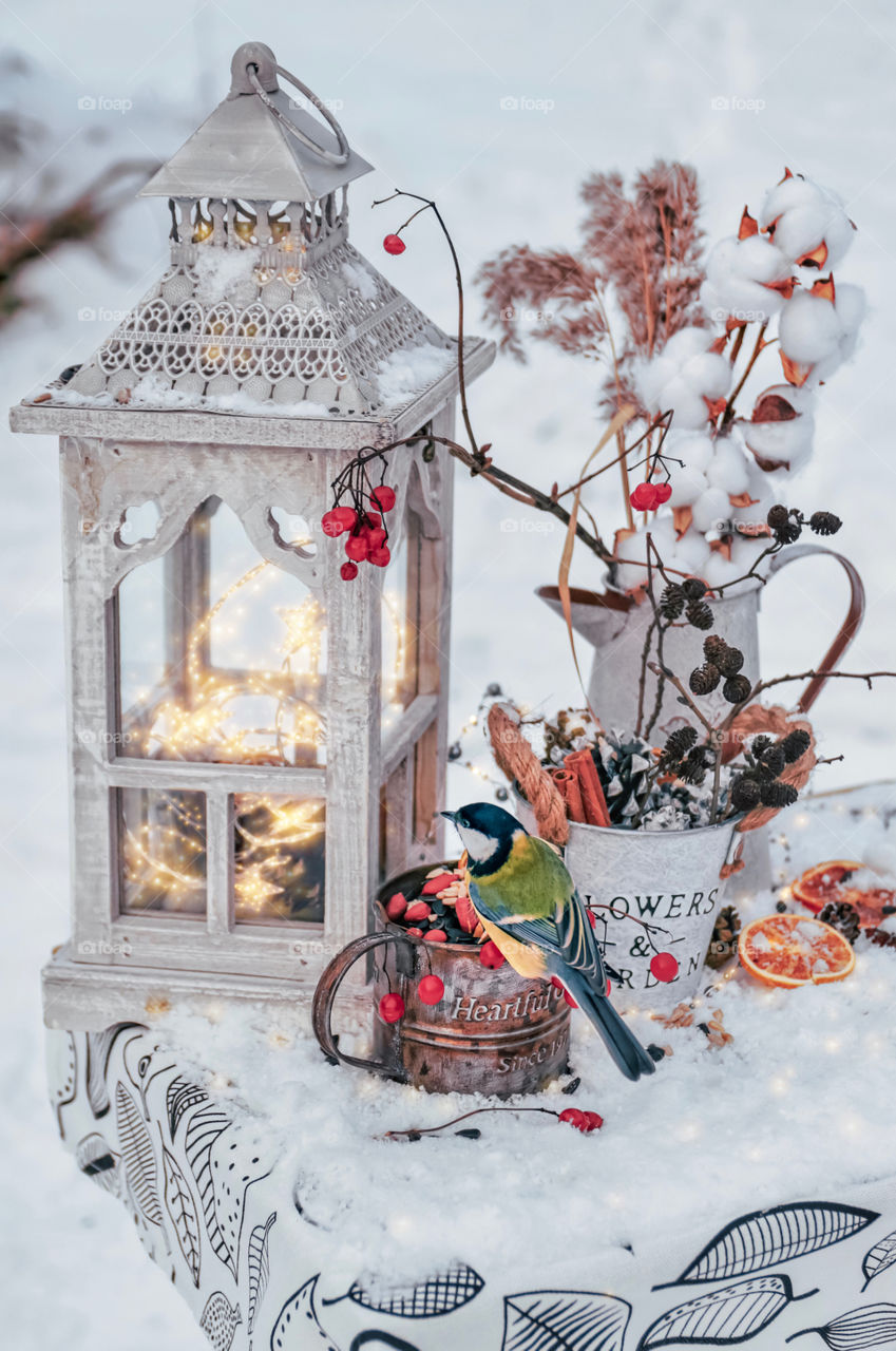 Garden still life with a bird in winter