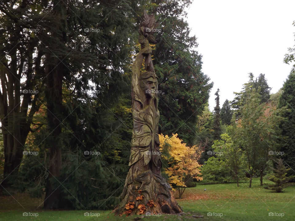 nature tree statue park by mrm