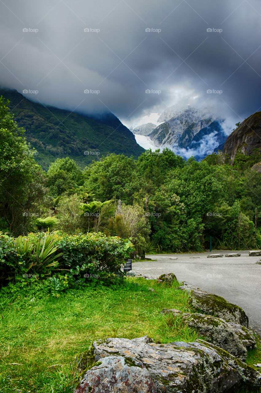 Scenic view of forest against cloudy sky