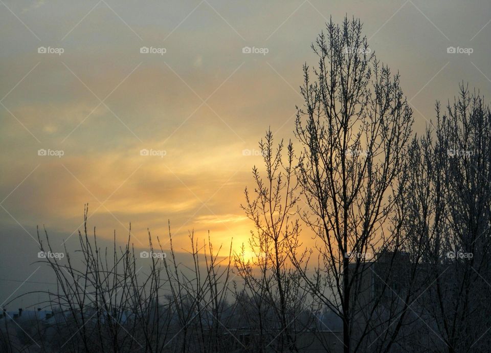 Dawn, Sunset, Fog, No Person, Landscape