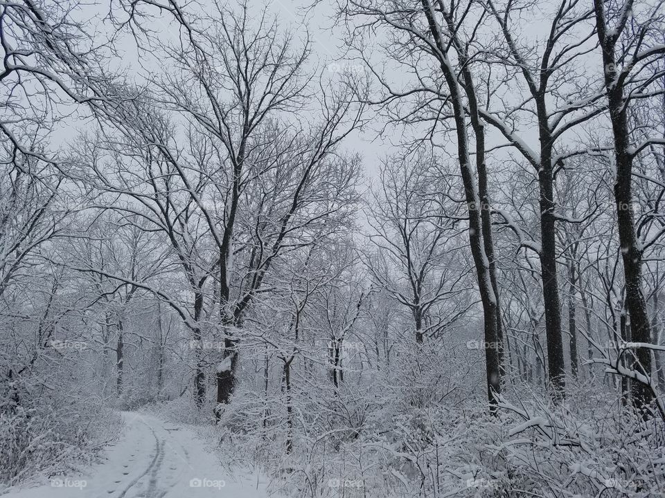 First snowfall of 2016