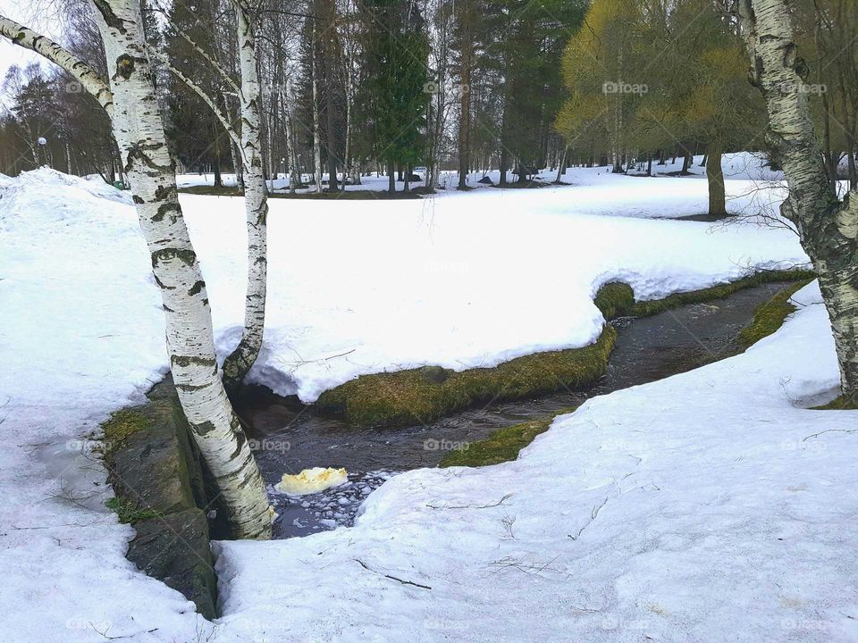 snow melting in spring