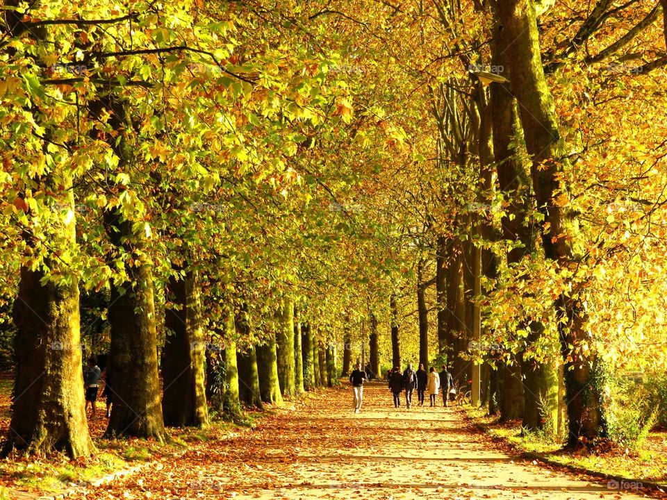 walking in the park in Autumn