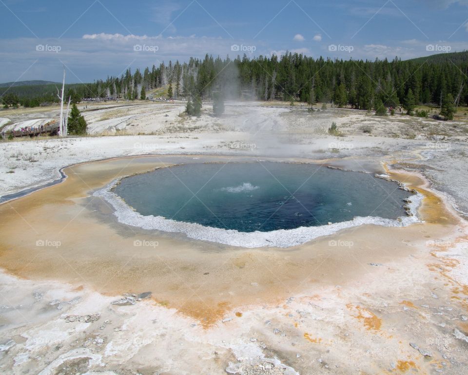 The Great Prismatic Spring on Geyser Hill in Yellowstone National Park boiling its beautiful turquoise water on a sunny summer day. 