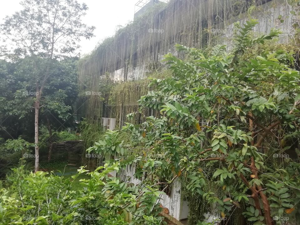 A beautiful hideout embraced by nature