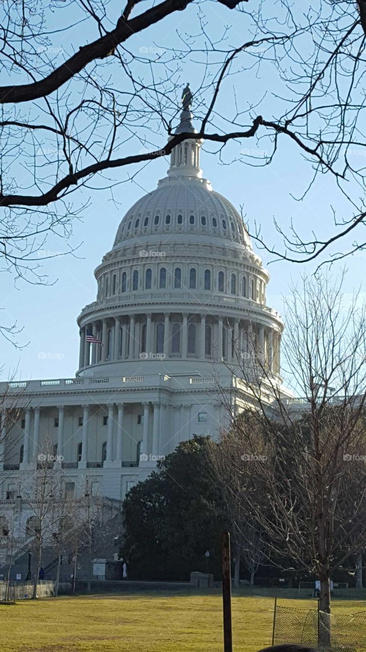 U. S. Capitol Washington DC