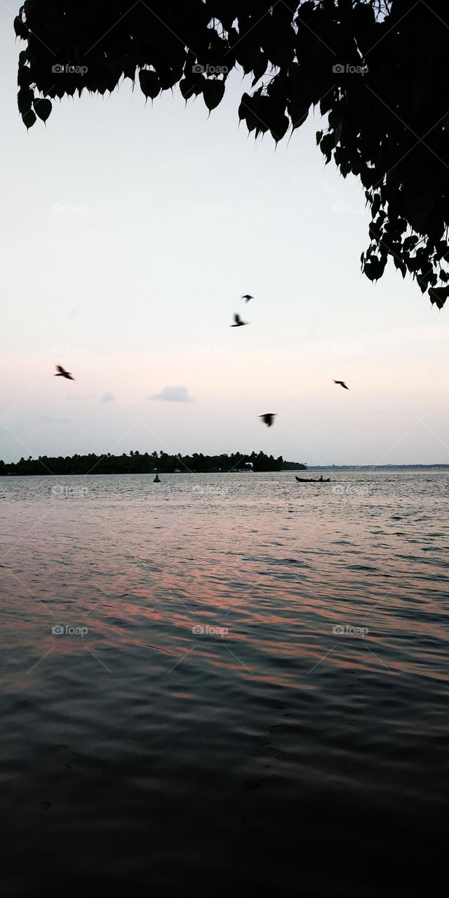 An evening view of a big river, Sunlight reflection in water, boat ride view, birds flying in circles, sky, evening sky, late, night sky, dawn