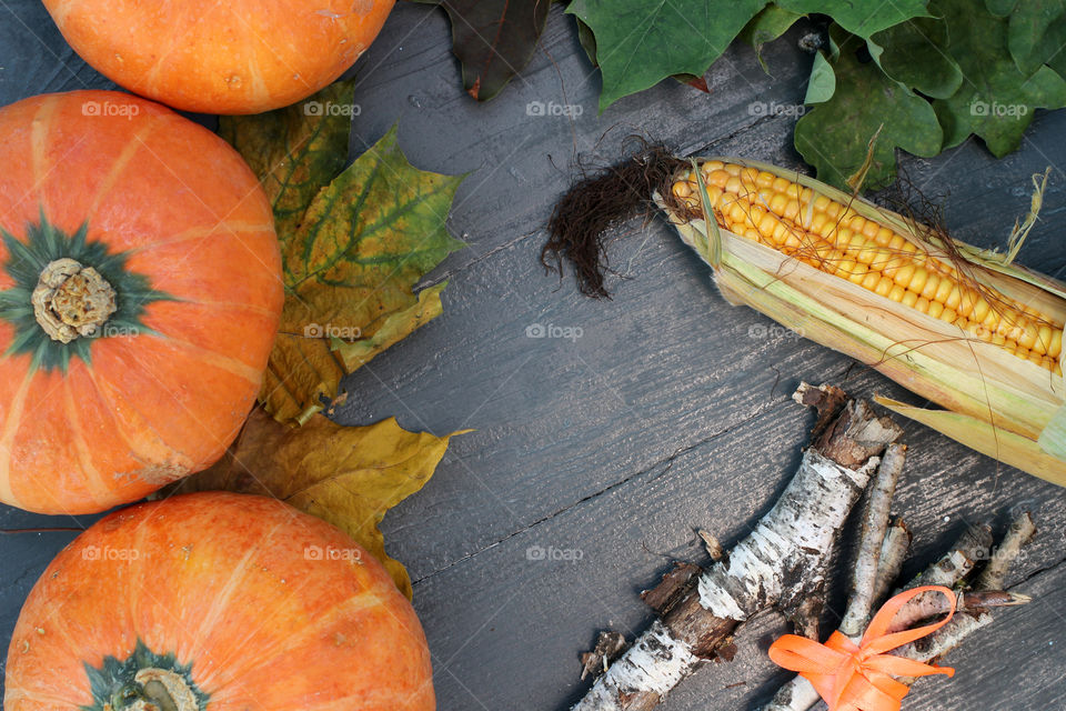 Vegetables, Halloween, pumpkin, corn, harvest, fertility, agriculture, food, cones, forest, birch branches