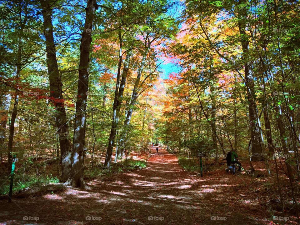 Hiking in New England 