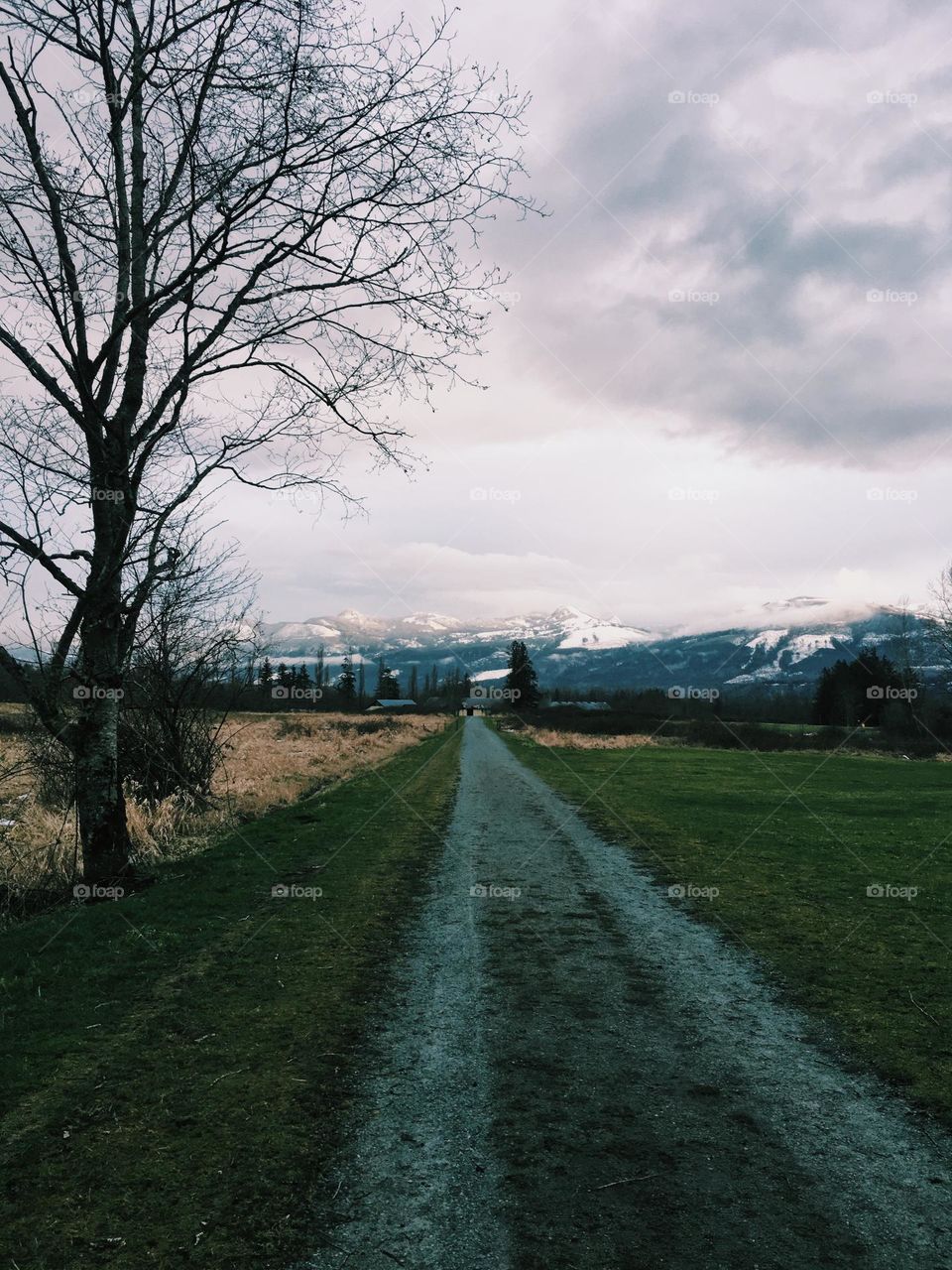 Rural valley trail with cloudy but beautiful view of snowy mountains 