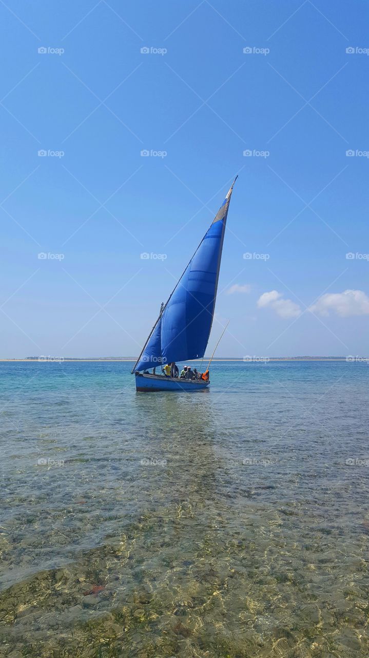 Sail Boat