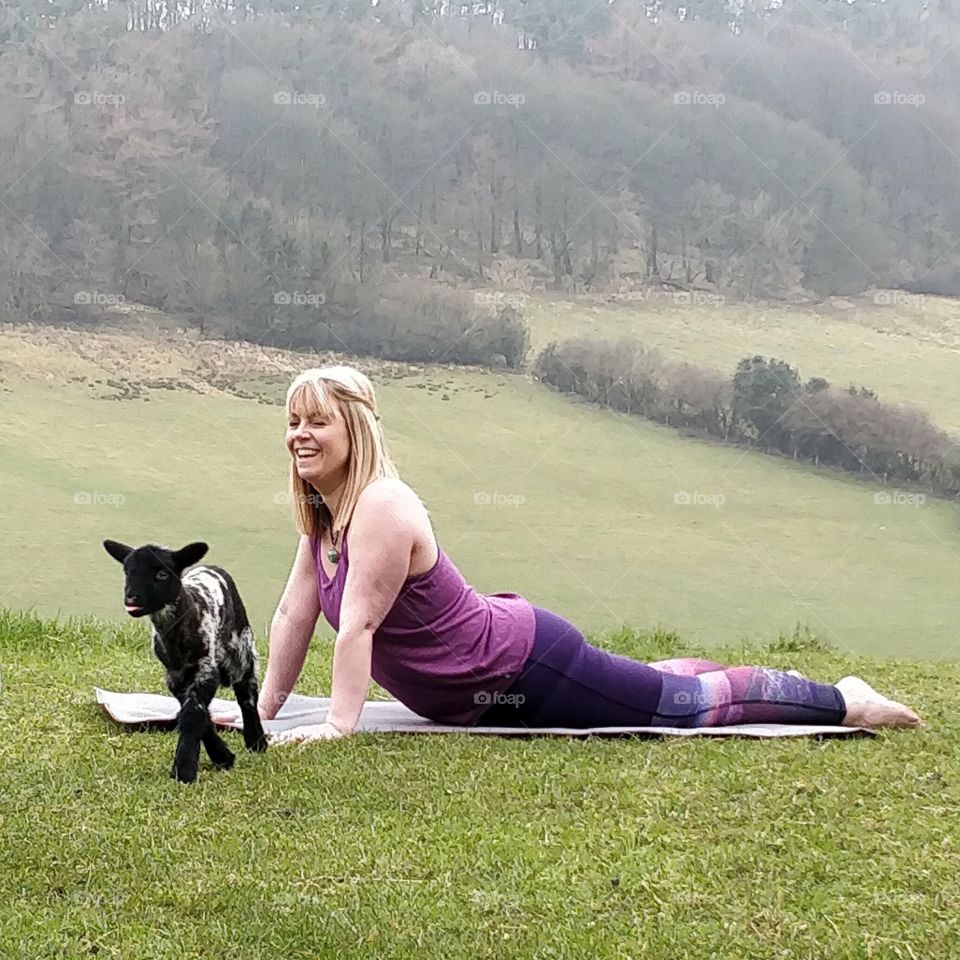 Baby lamb yoga 