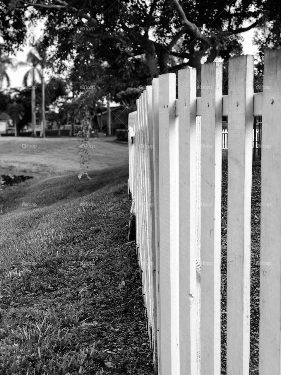 White picket fence around the park
