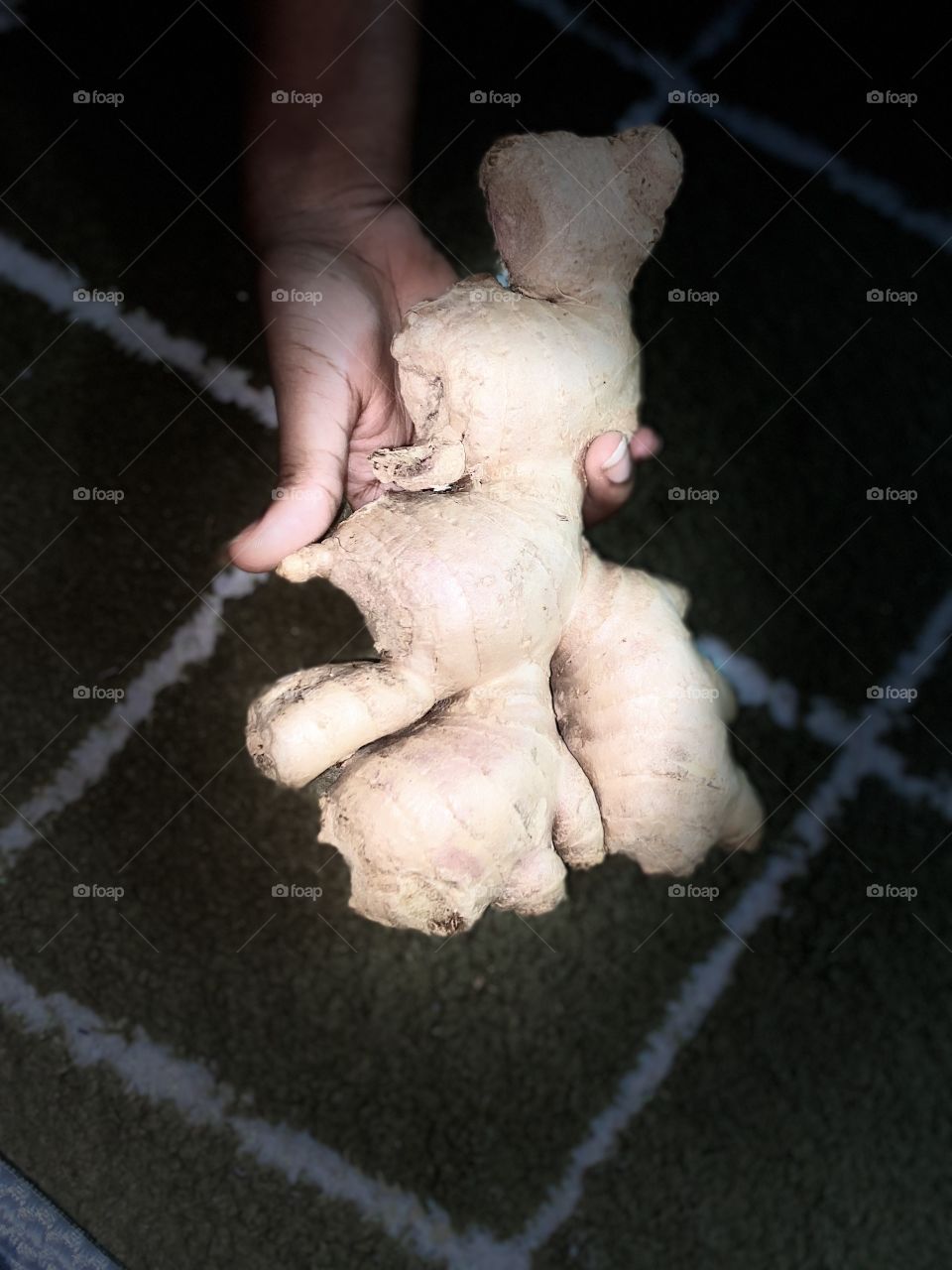 Beautiful and amazing big ginger 