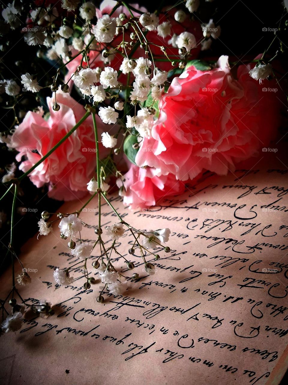 Plants.  Composition.  On white paper with handwritten text in French lies a bouquet of pink carnations and white flowers.  Contrast