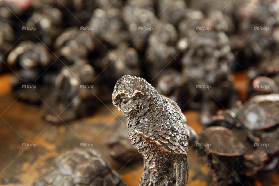 The ebony wood, which is imported from southern Sudan, is considered to be the best wood in the ceramics industry, which has benefited the people of South Sudan and the market of ceramics and handicrafts from the popular markets of tourists in Sudan
