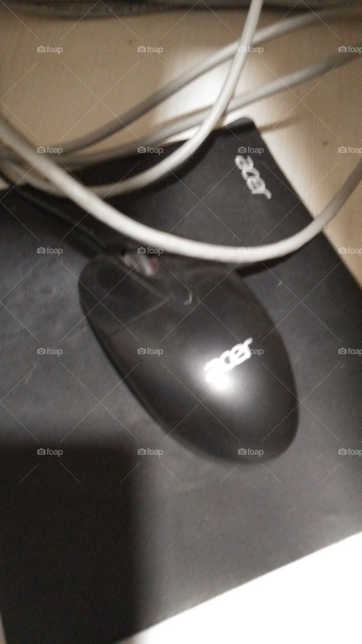 mouse