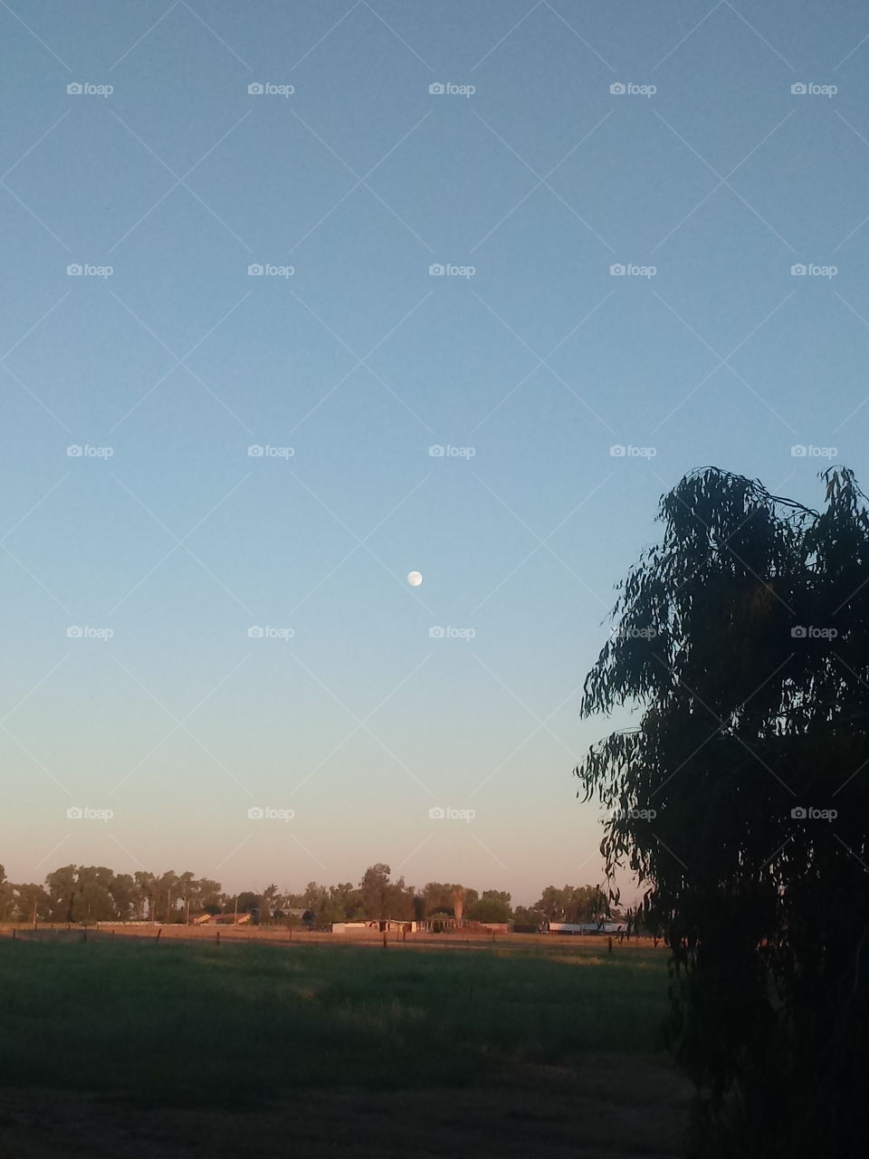 Tree, Landscape, Fall, Sunset, Sky