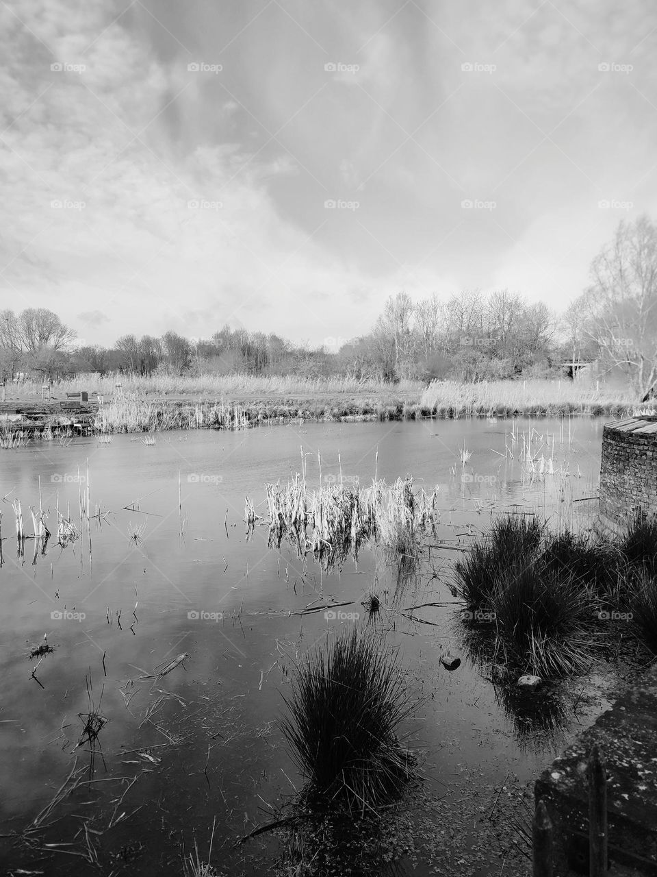 Visit of the castle of Havré, Hainaut