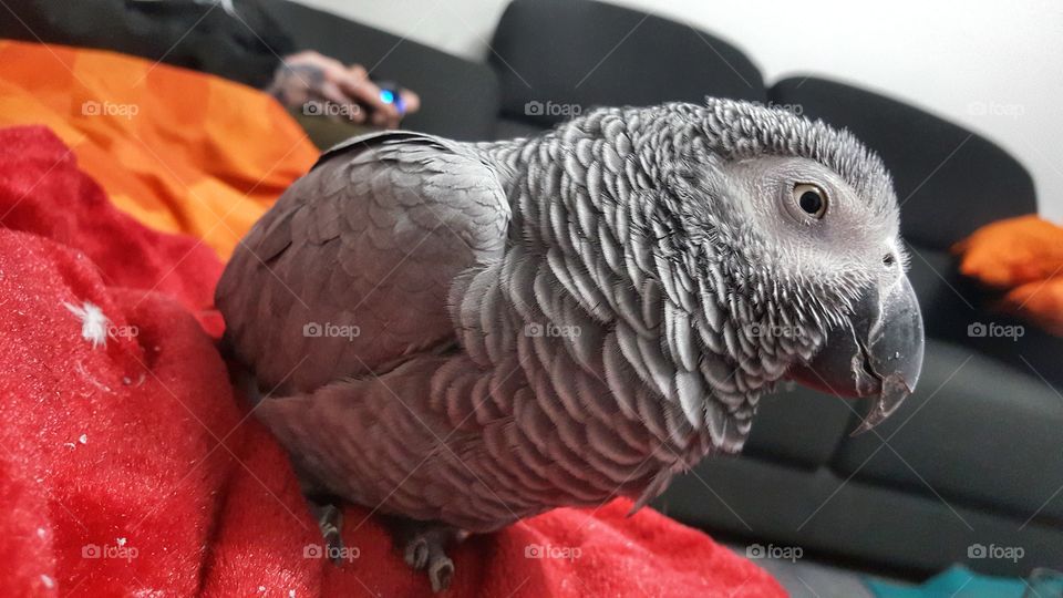 Spending time with my humans