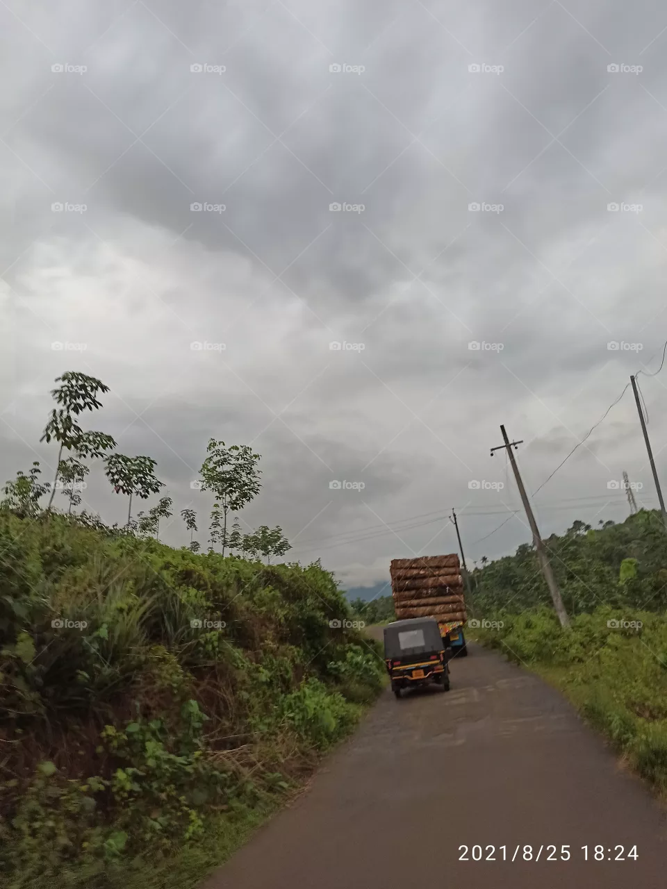 rubber wood  transportation lorry heavy
