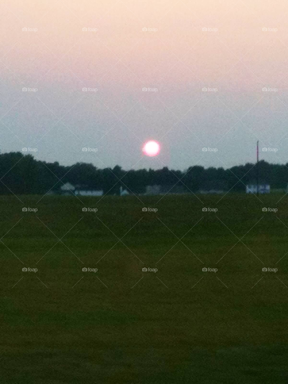 grass summer sunset sun by indescribable