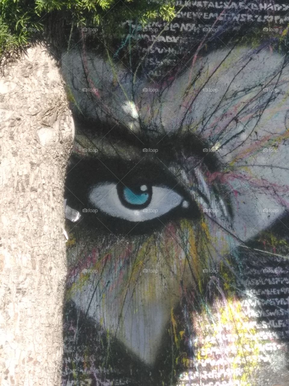 Spying Street Art in LA