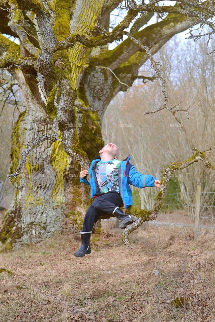 Cute boy sitting on a tree branch and look up on the tree
