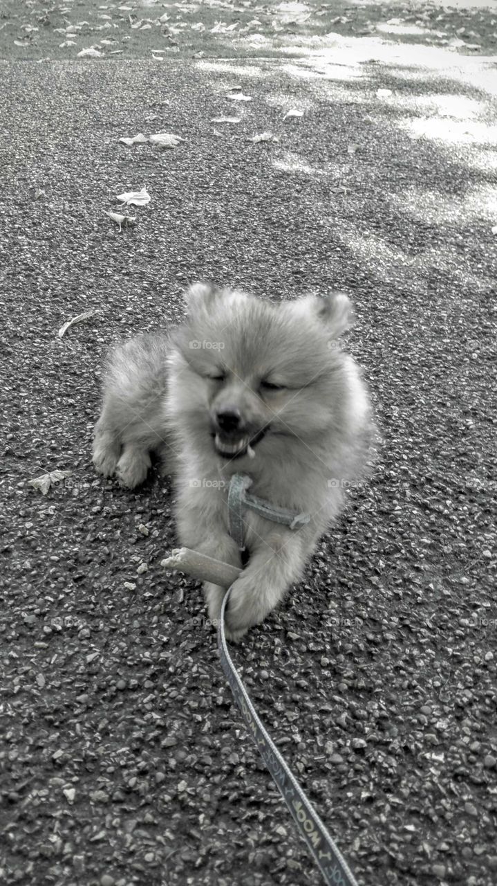 kylo getty it right with a grin