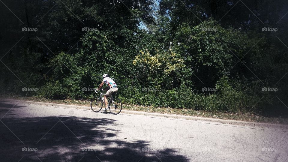 Lone Bicyclist. Tree Lined Street