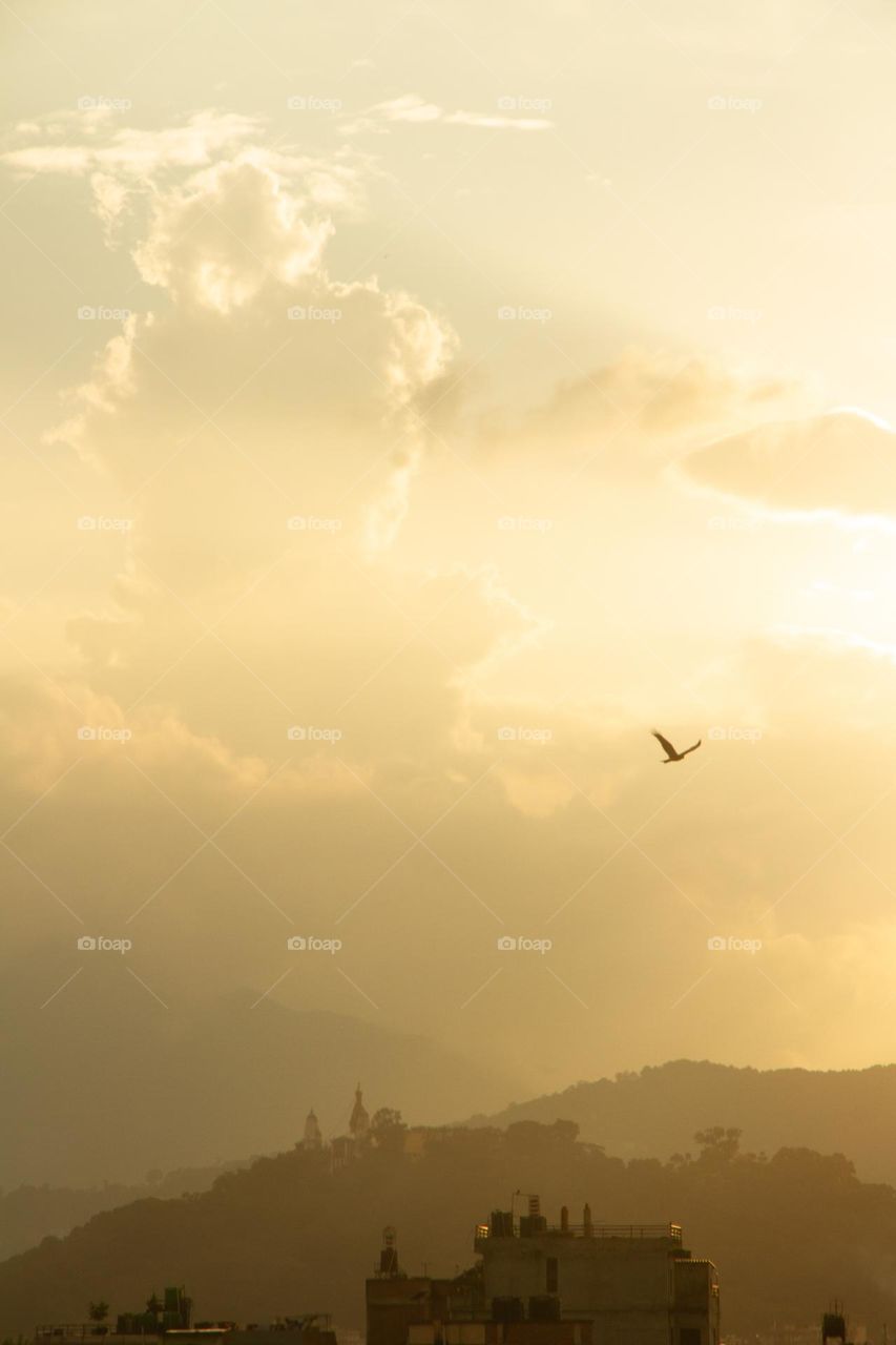 An eagle flying over the city of Kathmandu, Nepal