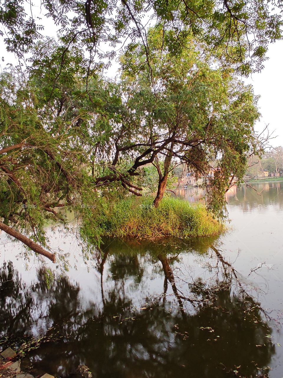 Beautiful little island in the water