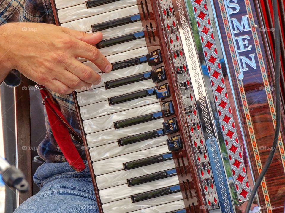 Accordion Player. Musician Playing The Accordion
