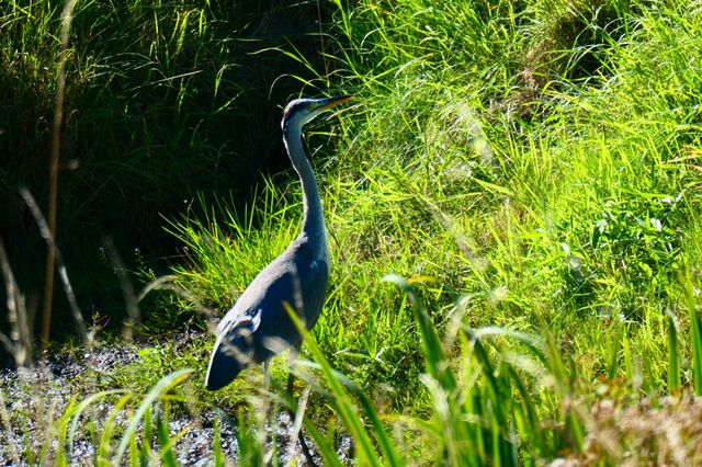Natur Photographie