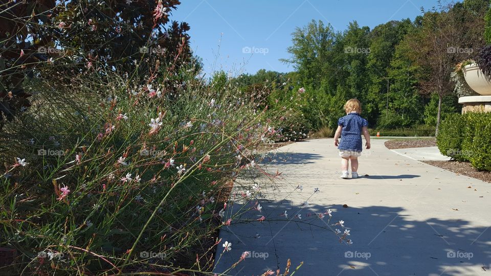 stroll through the garden