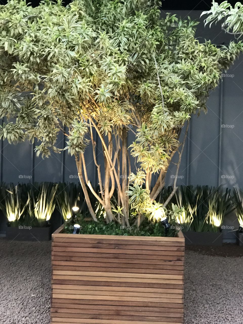 Light decorated plant inside the shopping