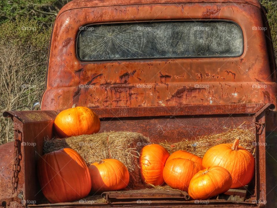 Pumpkins In A Rusty Old Truck