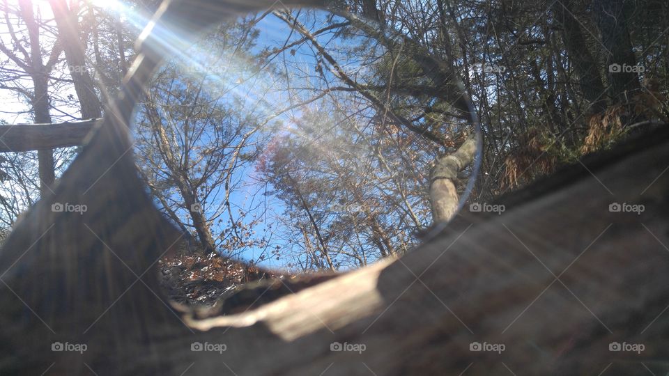 Sun Flared Reflections