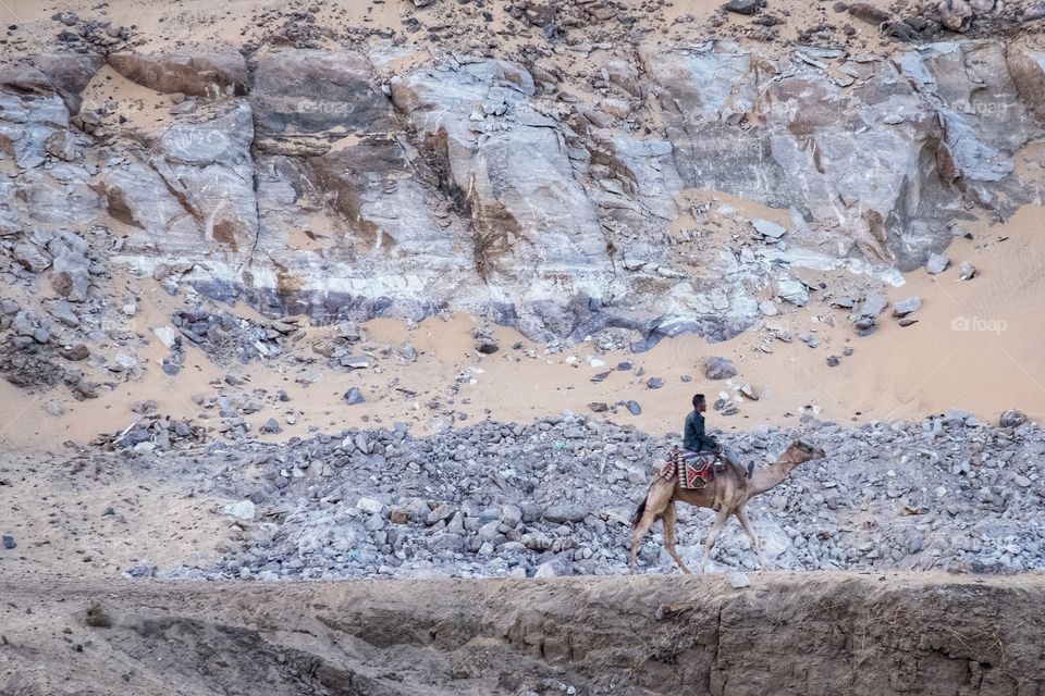 Camel riding in Luxor , Egypt