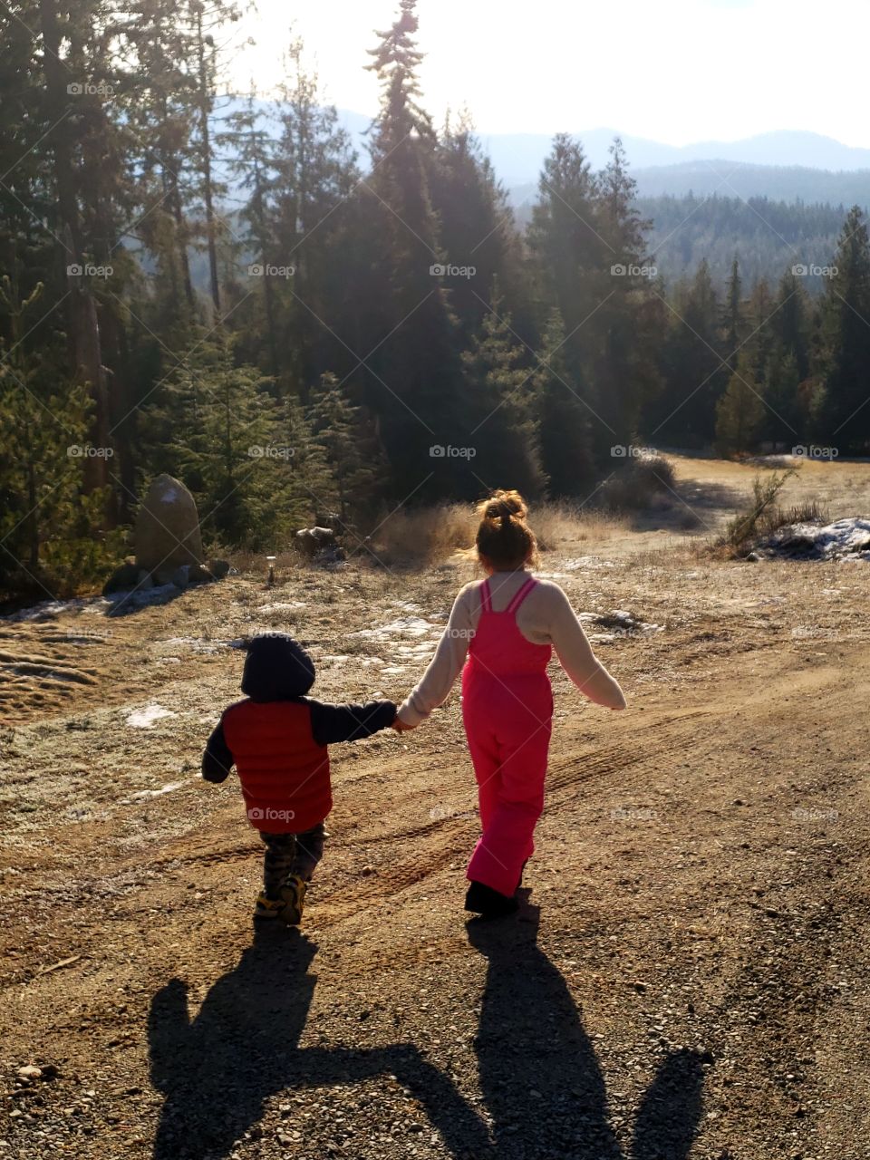 children holding hands walking in forrest on nature hiking trail