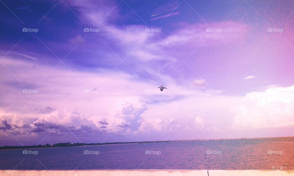 Soaring . You can always do what you put in your heart 