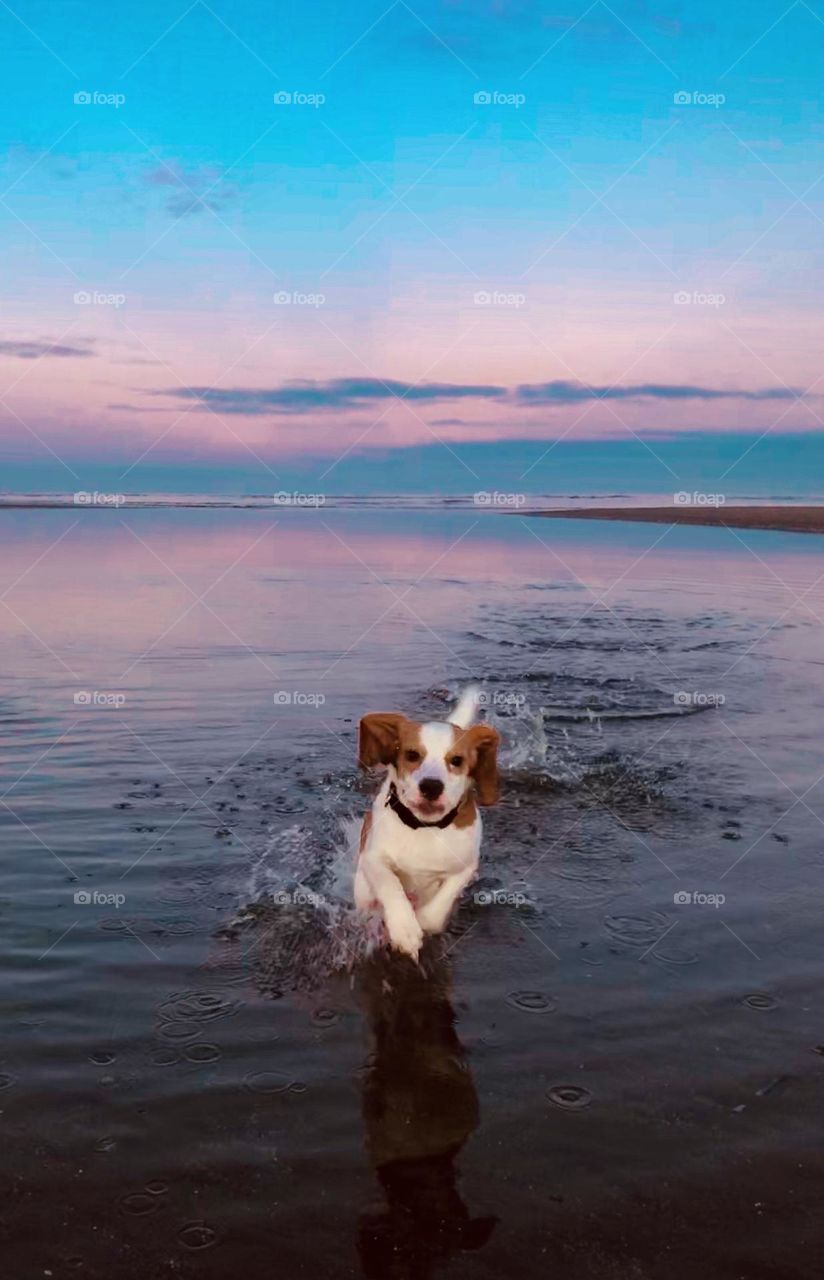 One of my favourites