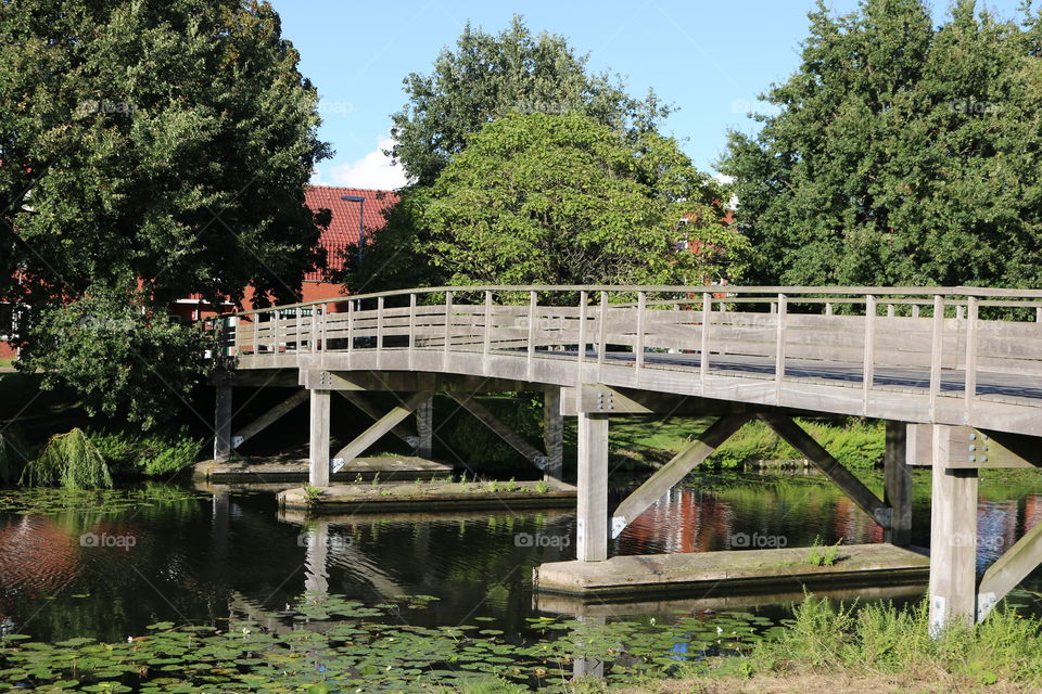 Bridge, River, Water, Tree, Wood